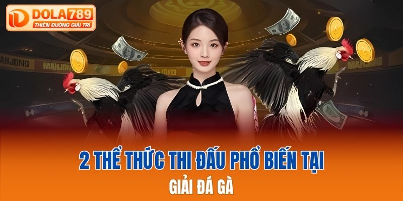 2 thể thức thi đấu phổ biến tại giải đá gà