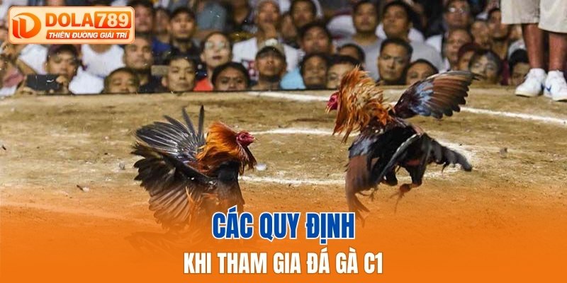 Các quy định khi tham gia đá gà C1