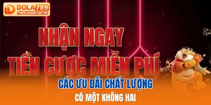 Các ưu đãi chất lượng có một không hai