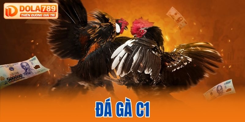đá gà C1