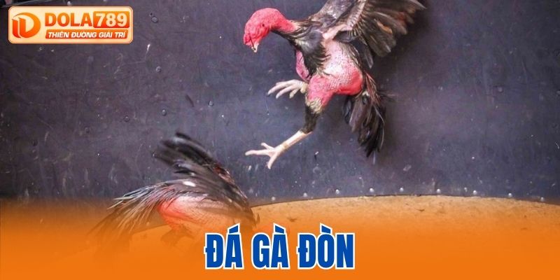 Đá gà đòn
