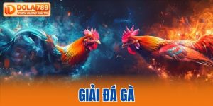 Giải đá gà