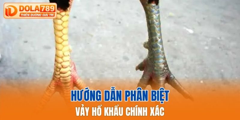 Hướng dẫn phân biệt vảy hổ khẩu chính xác