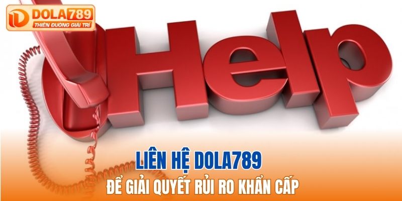 Liên hệ Dola789 để giải quyết rủi ro khẩn cấp
