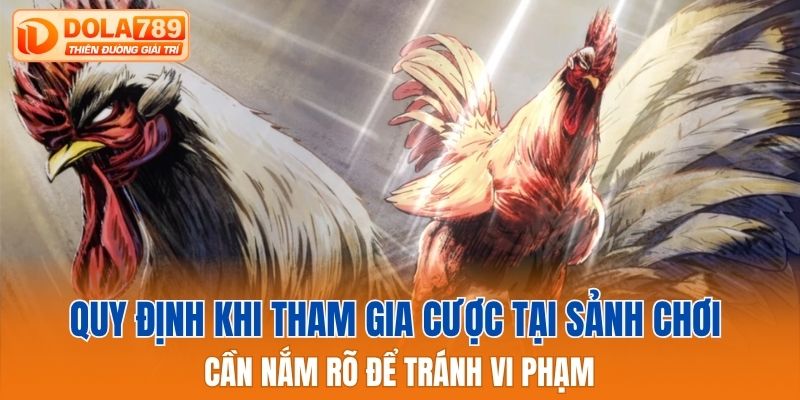Quy định khi tham gia cược tại sảnh chơi cần nắm rõ
