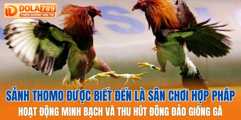 Sảnh Thomo được biết đến là sân chơi hợp pháp