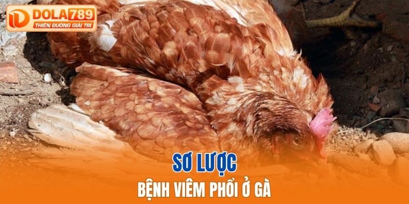 Sơ lược bệnh viêm phổi ở gà