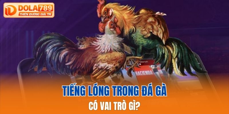 Tiếng lóng trong đá gà có vai trò gì?