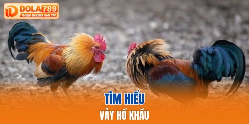 Tìm hiểu vảy hổ khẩu