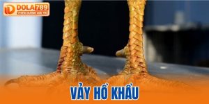 vảy hổ khẩu