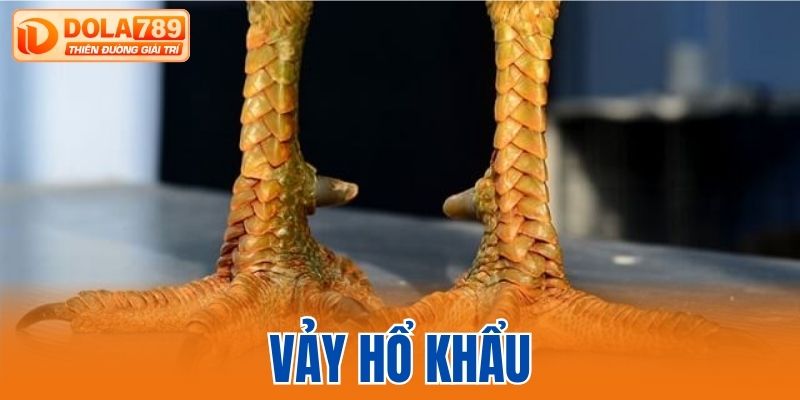 vảy hổ khẩu